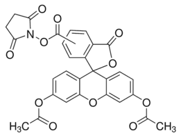 5(6)-Carboxyfluorescein diacetate N-succinimidyl ester