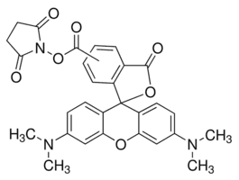 5(6)-Carboxytetramethylrhodamine N-succinimidyl ester