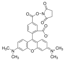 5-Carboxy-tetramethylrhodamine N-succinimidyl ester