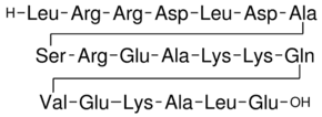Leu-Arg-Arg-Asp-Leu-Asp-Ala-Ser-Arg-Glu-Ala-Lys-Lys-Gln-Val-Glu-Lys-Ala-Leu-Glu