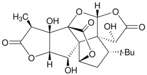 Ginkgolide B from Ginkgo biloba leaves