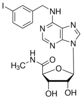 IB-MECA