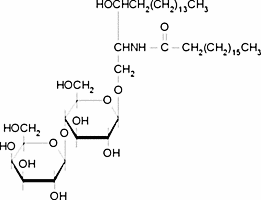 N-Stearoyl-DL-dihydrolactocerebroside