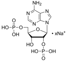 Adenosine 2′,5′-diphosphate sodium salt