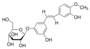 Rhapontin