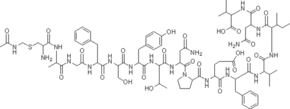 Protein Kinase Cβ1 Peptide