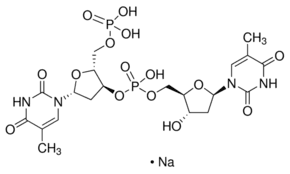 Oligothymidylic acid d(pT)2 sodium salt