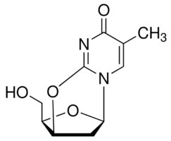 2,3′-Anhydrothymidine