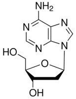 2′-Deoxyadenosine monohydrate