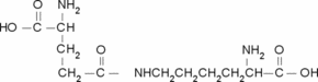 γ-Glu-ε-Lys