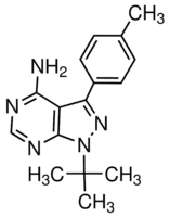 PP1
