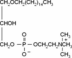 1-O-Palmityl-rac-glycero-3-phosphocholine