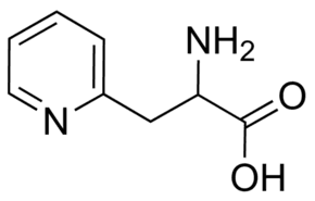 2-Amino-3-(pyridin-2-yl)propionic acid