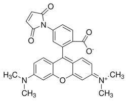Tetramethylrhodamine-6-maleimide