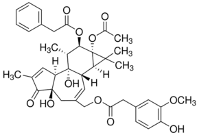 Phorbol 12-phenylacetate 13-acetate 20-homovanillate