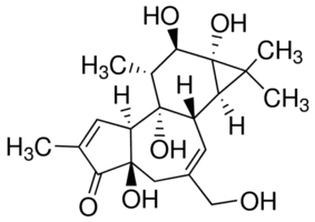 Phorbol