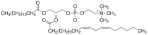 2-Linoleoyl-1-palmitoyl-sn-glycero-3-phosphocholine