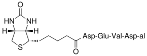 Biotinyl-Asp-Glu-Val-Asp-al
