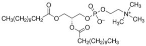 1,2-Didodecanoyl-sn-glycero-3-phosphocholine