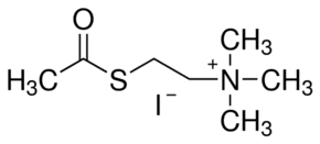 Acetylthiocholine iodide