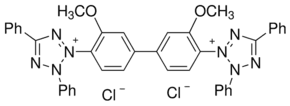 Tetrazolium Blue Chloride