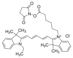 NIR-641 N-succinimidyl ester