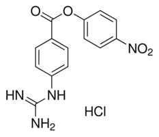 4-Nitrophenyl 4-guanidinobenzoate hydrochloride