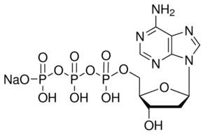 2′-Deoxyadenosine 5′-triphosphate disodium salt