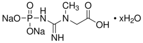 Phosphocreatine disodium salt hydrate