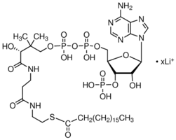 Stearoyl coenzyme A lithium salt