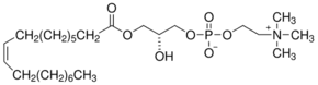 1-Oleoyl-sn-glycero-3-phosphocholine