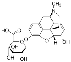 Morphine 3-β-D-glucuronide