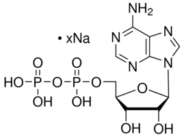 Adenosine 5′-diphosphate sodium salt