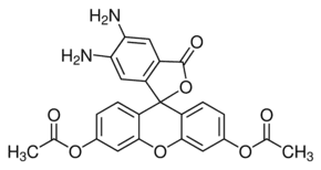 5,6-Diaminofluorescein diacetate