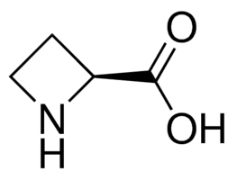 L-Azetidine-2-carboxylic acid