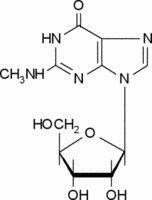 N2-Methylguanosine