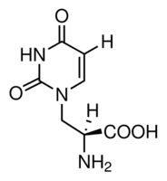 S(−)-Willardiine