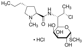 Clindamycin hydrochloride