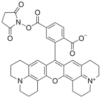6-Carboxy-X-rhodamine N-succinimidyl ester