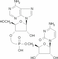 Adenylyl(3′→5′)cytidine