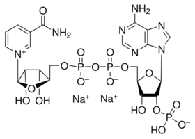 β-Nicotinamide adenine dinucleotide phosphate disodium salt