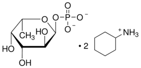 α-L-(−)-Fucose 1-phosphate bis(cyclohexylammonium) salt