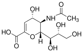 N-Acetyl-2,3-dehydro-2-deoxyneuraminic acid