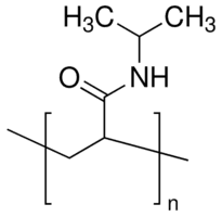 Poly(N-isopropylacrylamide)
