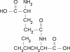 γ-Glu-Leu