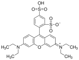 Sulforhodamine B, acid form
