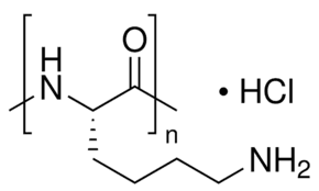 Poly-L-lysine hydrochloride