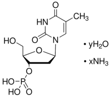 Thymidine 3′-monophosphate ammonium salt hydrate