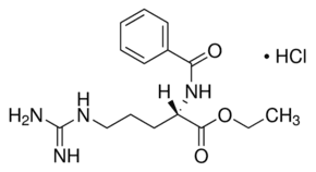 Nα-Benzoyl-L-arginine ethyl ester hydrochloride
