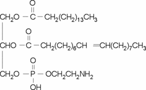 2-Oleoyl-1-palmitoyl-sn-glycero-3-phosphoethanolamine